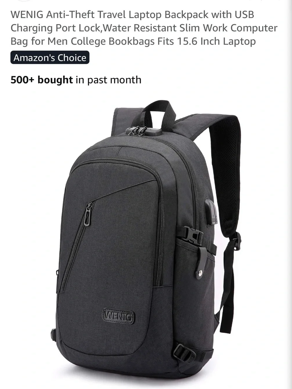 WENIG Locking Anti Theft Backpack